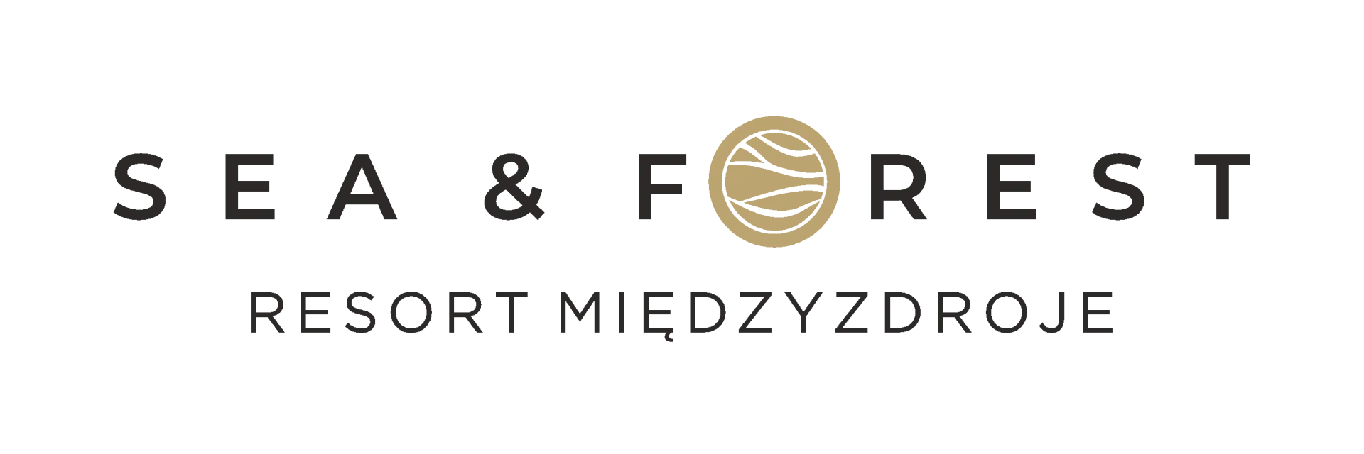Zdjęcie 14